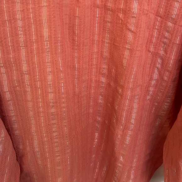 Pilcro The Tavi Top- Button Down Pink/coral w metallic stripe detail. size M - Picture 8 of 9
